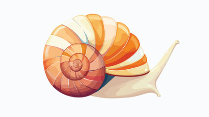 Snail sea shell. Marine undersea swirled seashell of