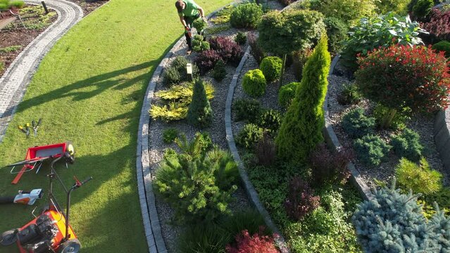 Gardener Performing Backyard Rockery Garden Maintenance