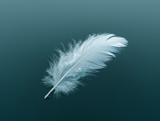 Obraz premium Minimalist photo captures a single white feather gracefully floating in stark darkness