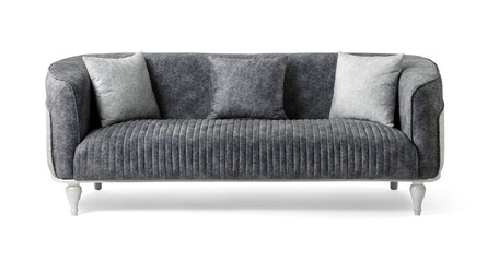 Modern sofa isolated on white background . front view