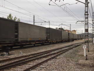 Obraz premium Freight train goes along the railway tracks