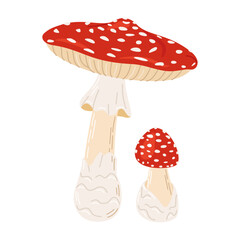 Fly agaric red poison mushrooms. Big and small mushroom Hand drawn Amanita muscaria. Hallucinogenic, psychedelic forest mushroom. Trendy flat style magic fungus isolated on white. Vector illustration