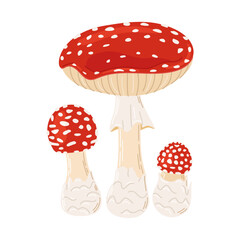 Fly agaric red poison mushrooms. Big and small mushroom Hand drawn Amanita muscaria. Hallucinogenic, psychedelic forest mushroom. Trendy flat style magic fungus isolated on white. Vector illustration