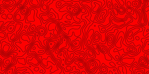 Natural flowing abstract map-like pattern with intricate line work

