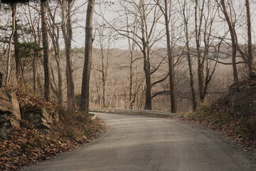 the road is lined with trees and leaves in the middle