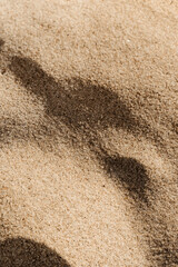 Close up of a sand texture