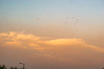 beautiful sunset sky and clouds  