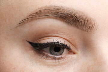 Obraz premium Makeup product. Woman with black eyeliner and beautiful eyebrow, closeup
