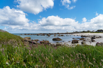En Bretagne, des rochers immergés et épars le long de la plage, des herbes de Lagures ovales se balancent doucement au milieu des eaux turquoise et des rochers escarpés, créant un paysage côtier serei © Laurent
