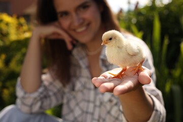 Woman with cute chick outdoors, selective focus
