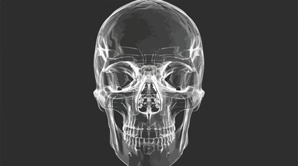 Frontal radiograph of skull. X-radiation picture 