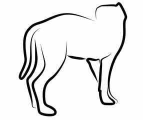 dog vector, line drawing side view illustration isolated on white background