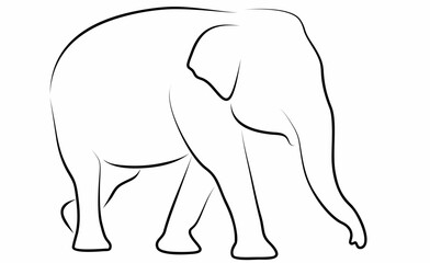 Elephant vector, line drawing side view illustration isolated on white background
