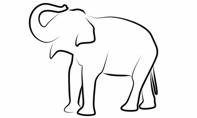 Fototapeta premium Elephant vector, line drawing side view illustration isolated on white background