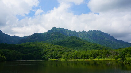 Fototapeta premium 深緑の鏡池