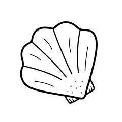 Seashell, single isolate on a white background. Vector illustration of a shell doodle sketch.