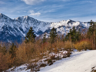 Trees and mountains in the World Heritage region of Hallstatt Dachstein