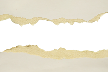 Gray ripped paper torn edges strips isolated on white background