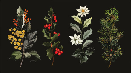 Four of beautiful winter decorative plants isolated o