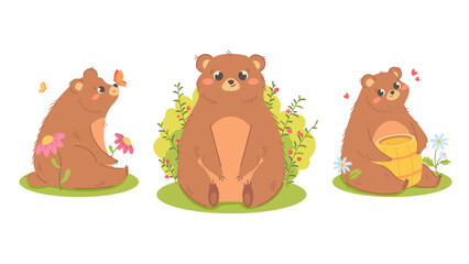 Set of cute cartoon bears for kids. Bear with barrel of honey, bear with butterfly on nose, sleeping bear, bear with raspberry bush. Vector illustration