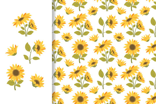 Summer floral pattern with sunflowers on white background. Vector seamless ornament for prints, fabrics