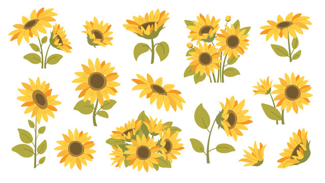 Summer sunflowers set. Single sunflower, bouquet of sunflowers. Vector icons in flat style