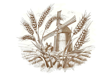 Rural landscape with windmill and village. Farm and wheat field with harvest. Autumn nature. Illustration in vintage engraving style for design banner, logo, poster, flyer