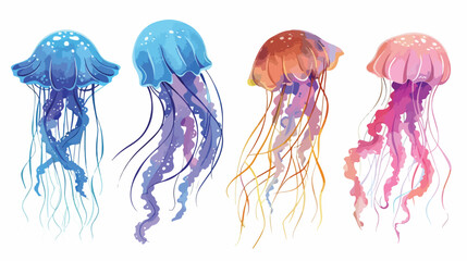 Four of gorgeous marine animals - jellyfish isolated