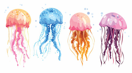 Four of gorgeous marine animals - jellyfish isolated