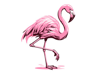 Graceful Flamingo: Flamingo Vector Illustration for Tropical Designs and Exotic Art