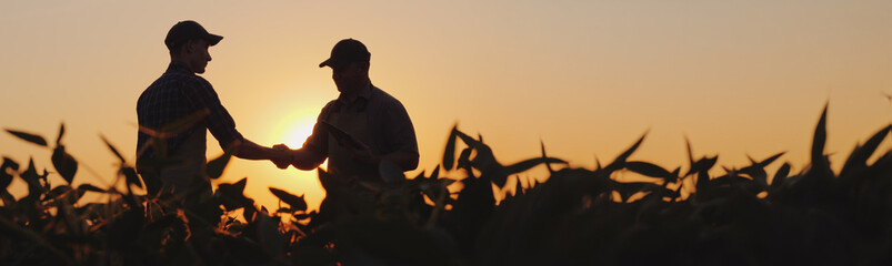 Silhouettes of two farmers in a field shaking hands as a sign of a successful deal