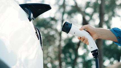 Closeup woman recharge EV electric car's battery at parking lot in natural green park. Clean energy...