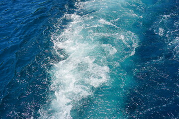 船に乗って熱海の海を眺めるとカモメが飛んでいた。