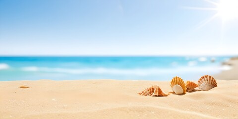 Seashells and sand on the sea beach