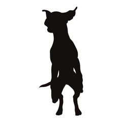 Vector silhouette of jumping dog on white background. Symbol of pet and happy life.