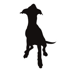 Vector silhouette of sitting dog on white background. Symbol of pet and happy life.