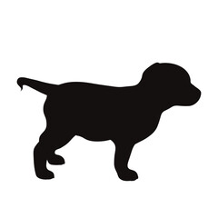 Vector silhouette of puppy on white background. Symbol of pet and happy life.