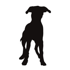 Vector silhouette of dog on white background. Symbol of pet and happy life.