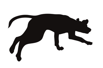 Vector silhouette of jumping dog on white background. Symbol of pet and happy life.