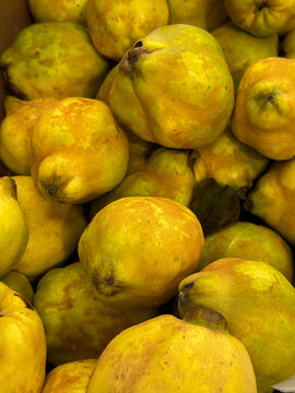 a pile of quince fruit for sale at the markets