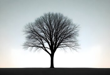tree (320)