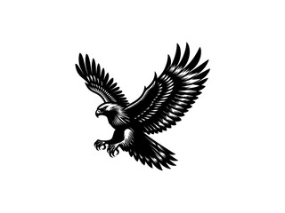 Majestic Hunter: Hawk Vector Illustration for Wildlife Designs and Powerful Art