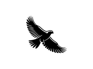 Fototapeta premium Majestic Hunter: Hawk Vector Illustration for Wildlife Designs and Powerful Art