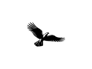 Fototapeta premium Majestic Hunter: Hawk Vector Illustration for Wildlife Designs and Powerful Art
