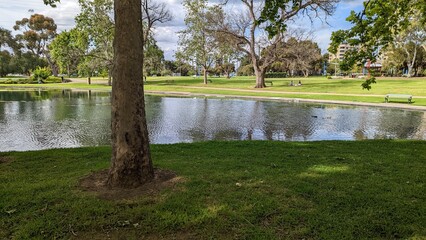 lake in the park