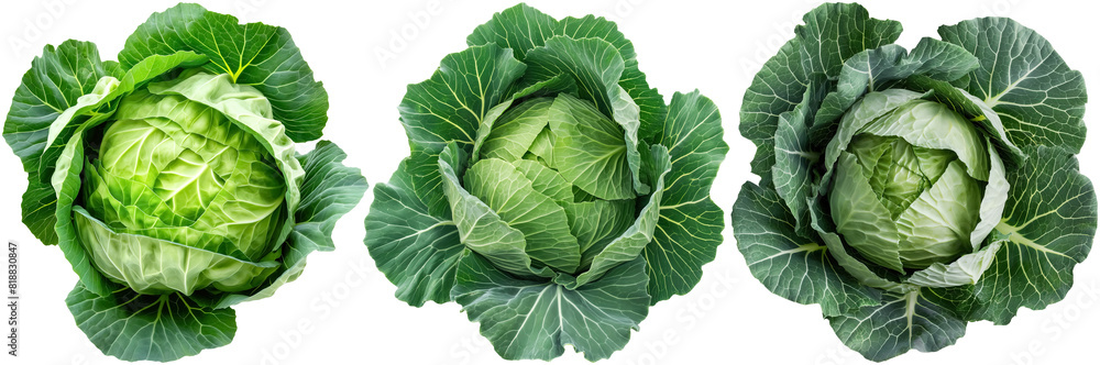 Wall mural set of cabbage, cut out