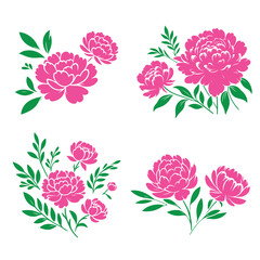 Peony flower illustration vector file