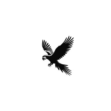 Tropical Beauty: Parrot Vector Illustration for Vibrant Designs and Exotic Art