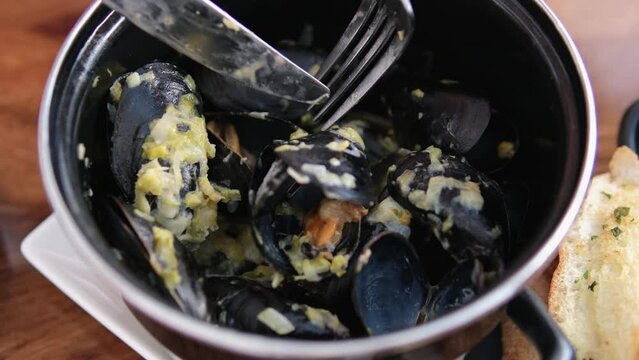 person picks up a steamed mussel from a plate. Sea mussels cooked with herbs sprinkled with dill rotating closeup video