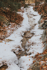 the water was flowing down the hill and the trees were covered in snow